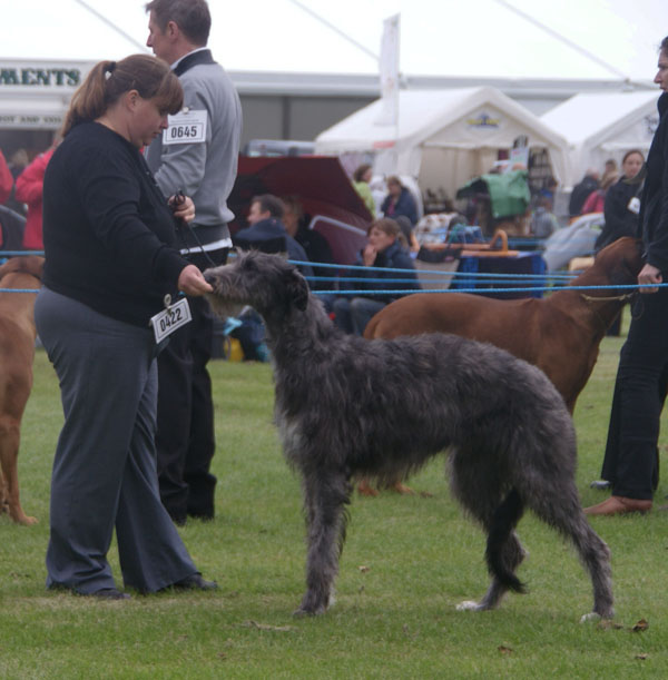 Cotherstone Take Silk